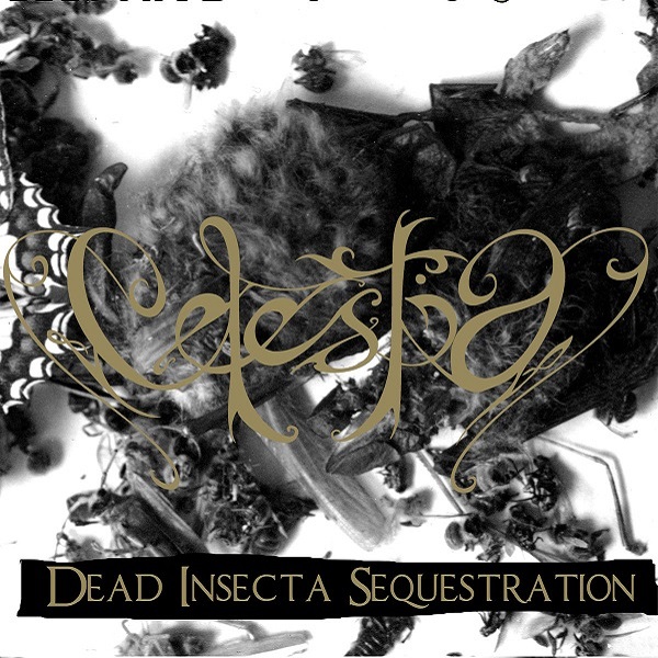 Dead Insecta Sequestration [Reissue]